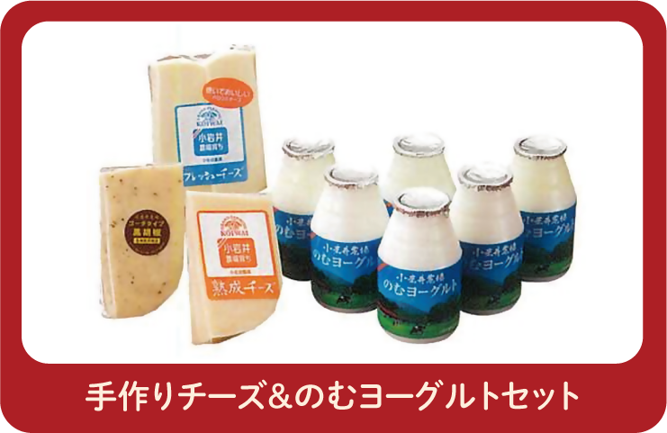特製アイスクリーム6個セット
