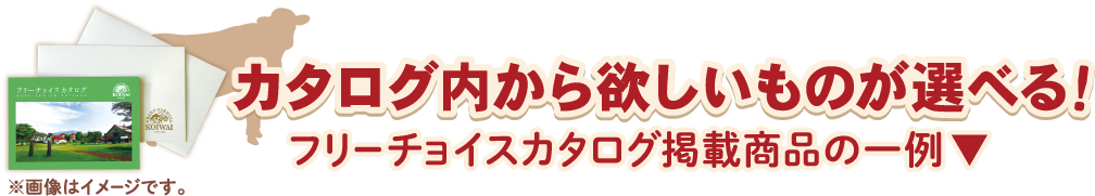 フリーチョイスカタログ一例