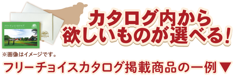 フリーチョイスカタログ一例